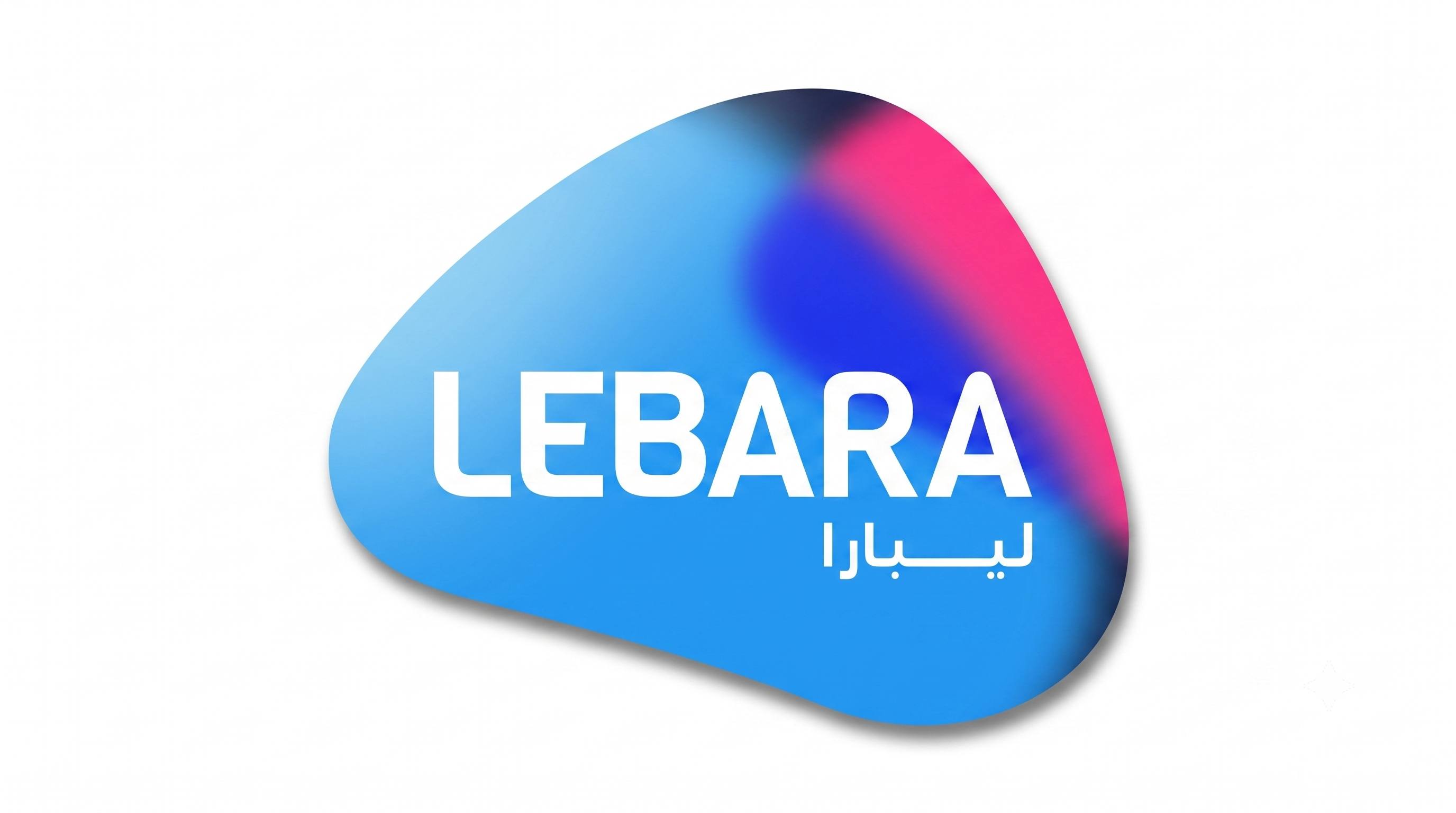 Lebara Voice